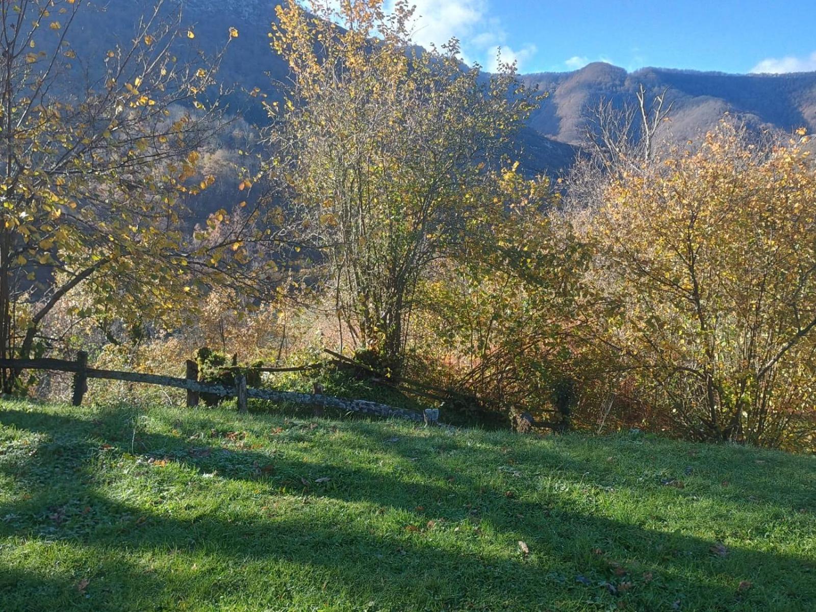 Hotel Rural Reciegos Complejo Agroturistico Caso Eksteriør billede